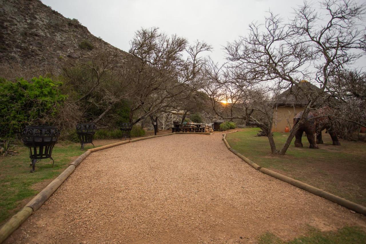 Indalu Game Reserve Boggomsbaai 외부 사진